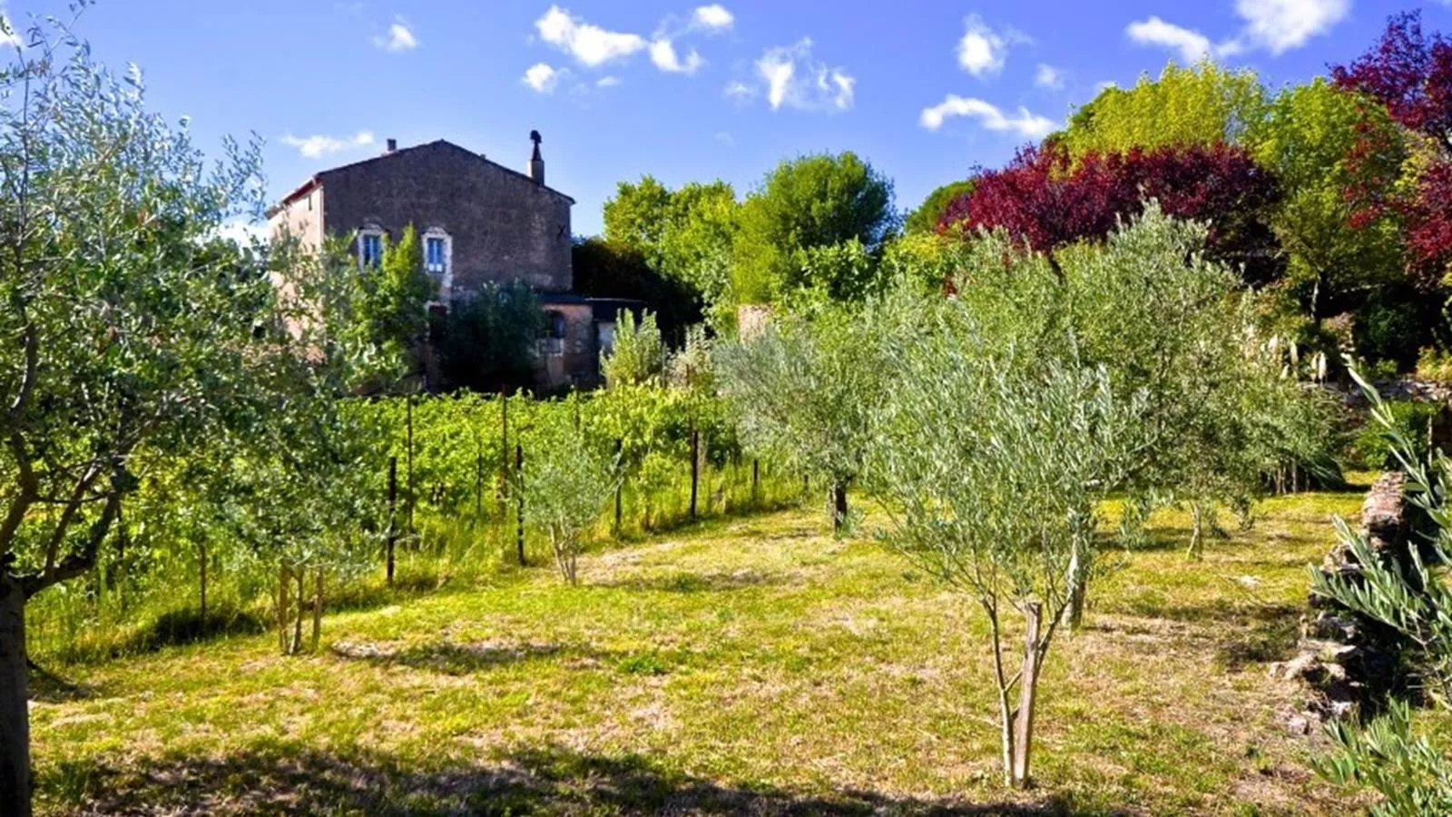 Le Paradis-Gardens summer
