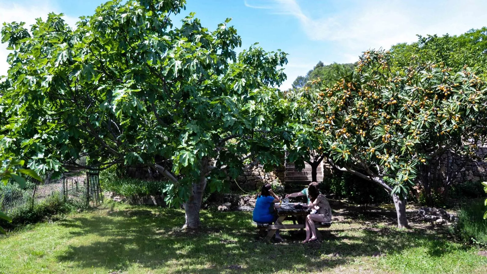 Le Paradis-Gardens summer