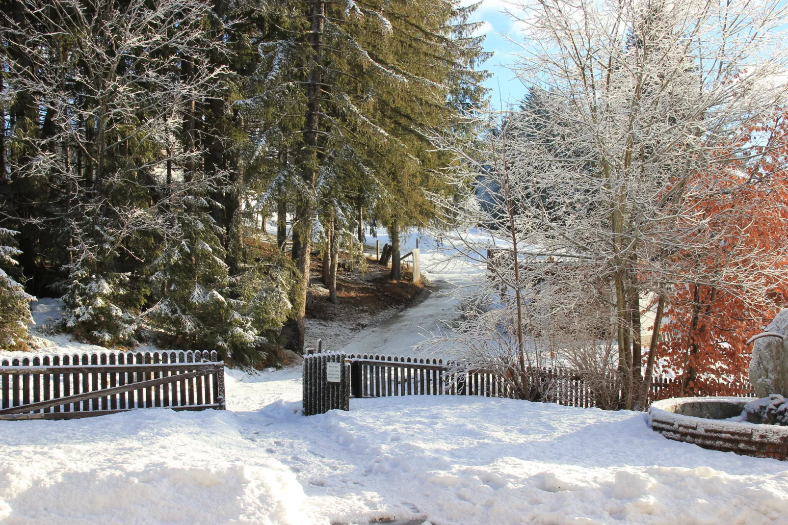 Chalet Mariapfarr-Empfangshalle