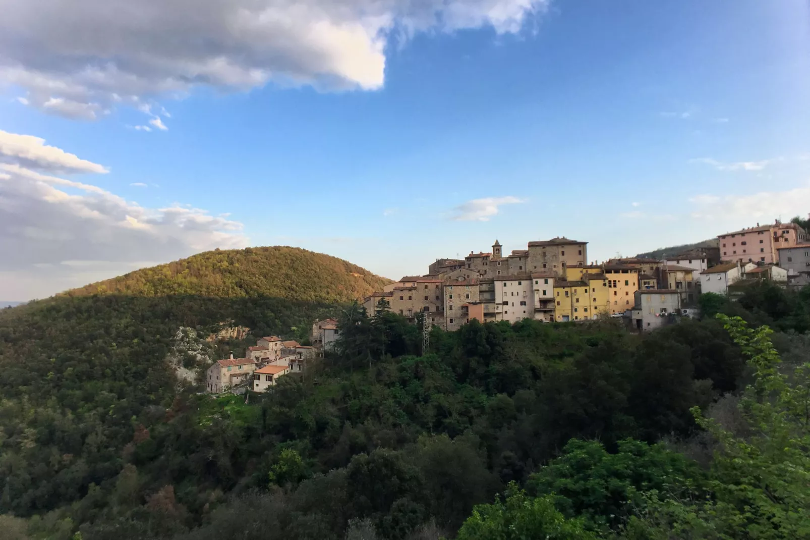Quercia Fresia-Areas summer 1km