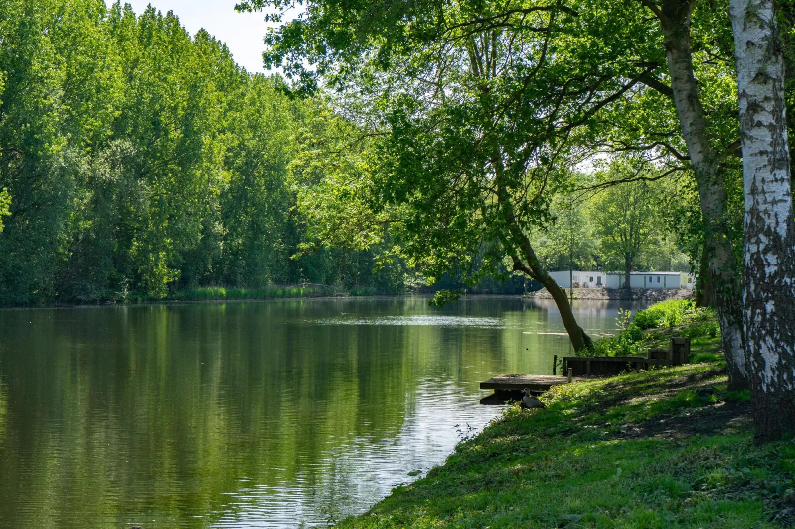 Resort Het Amsterdamse Bos 8-Areas summer 1km