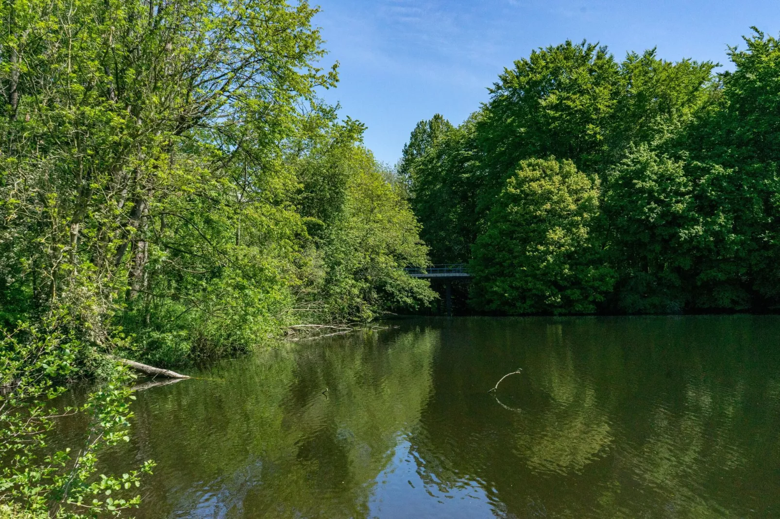 Resort Het Amsterdamse Bos 8-Areas summer 1km