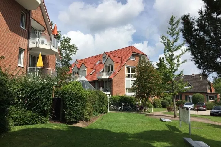 446606-View