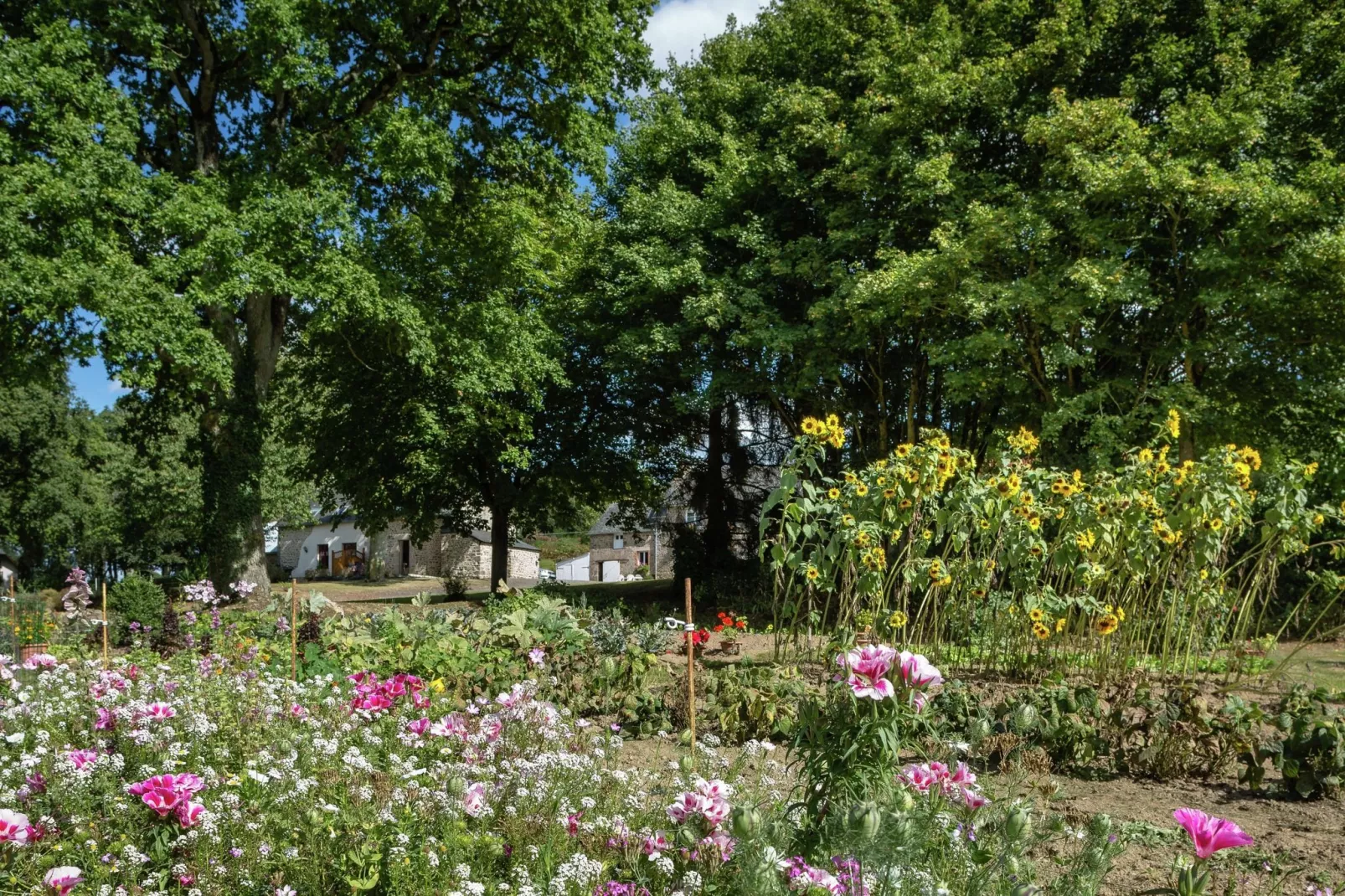 Maison à 1/2h du Mont Saint Michel-Gardens in summer