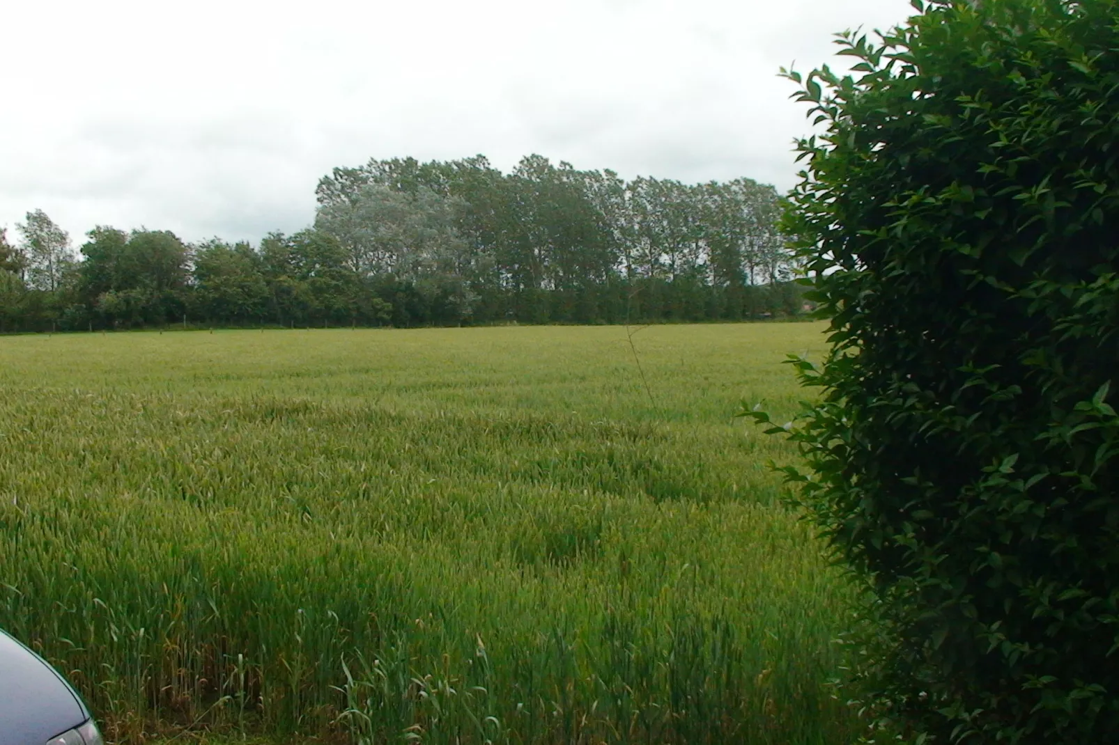 Het Boerderijtje-Gardens summer