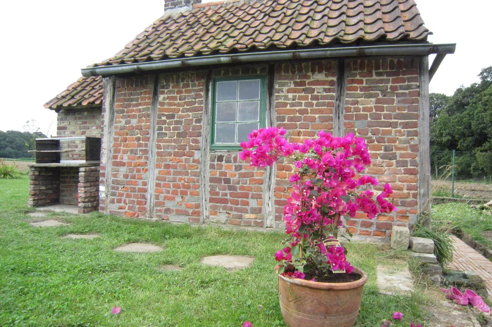 Het Boerderijtje-Gardens summer