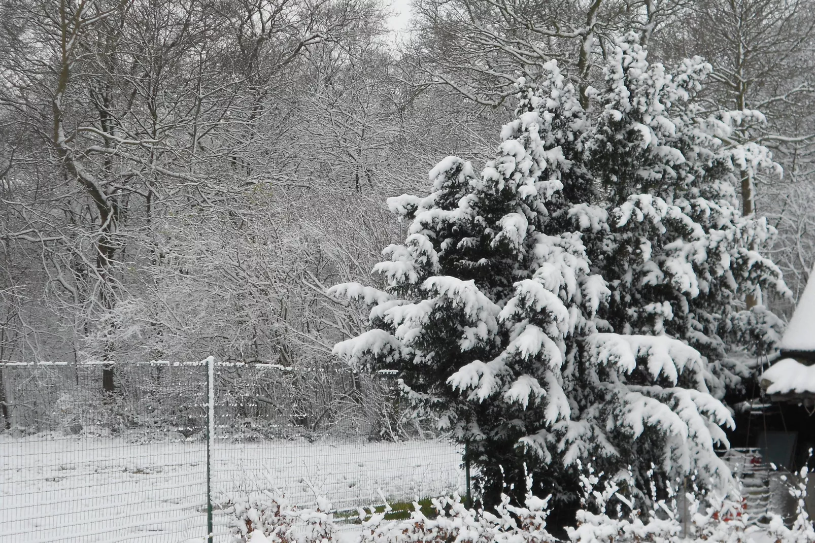 Het Boerderijtje-Garden winter