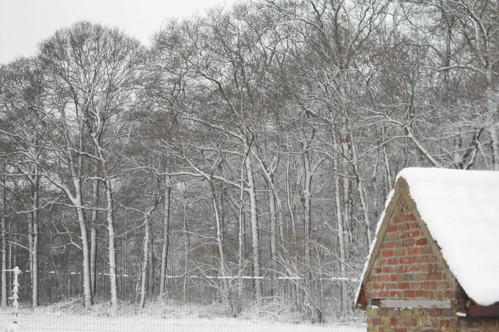 Het Boerderijtje-Garden winter