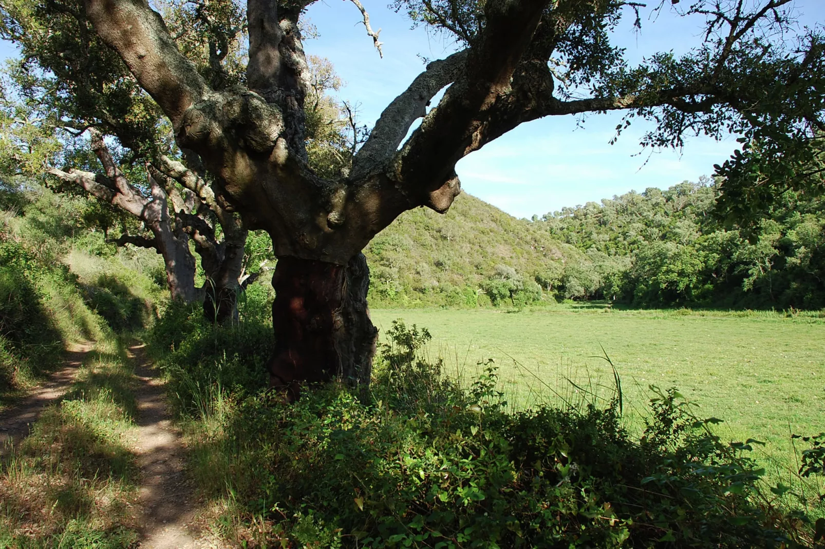 Casa do Pomar-Areas summer 1km