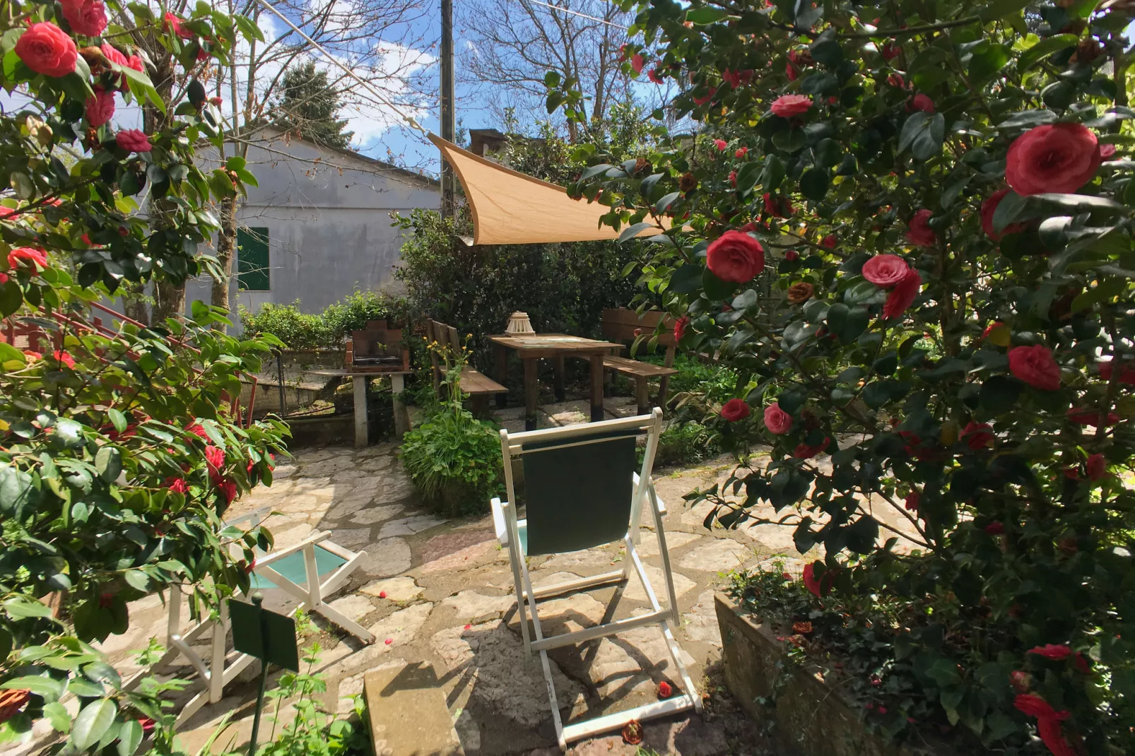 Agrifogli Rosa-Gardens summer