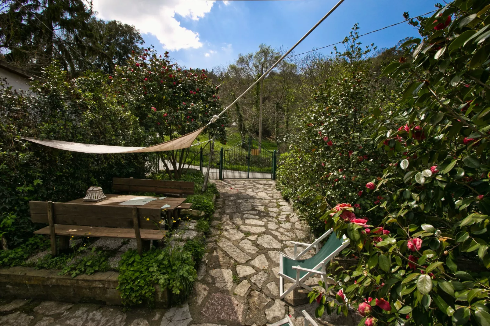 Agrifogli Rosa-Gardens summer