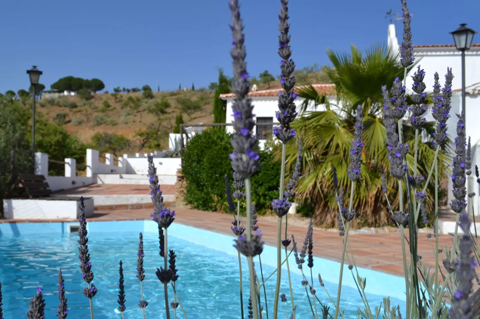 Casa el Cielo-Exterior summer