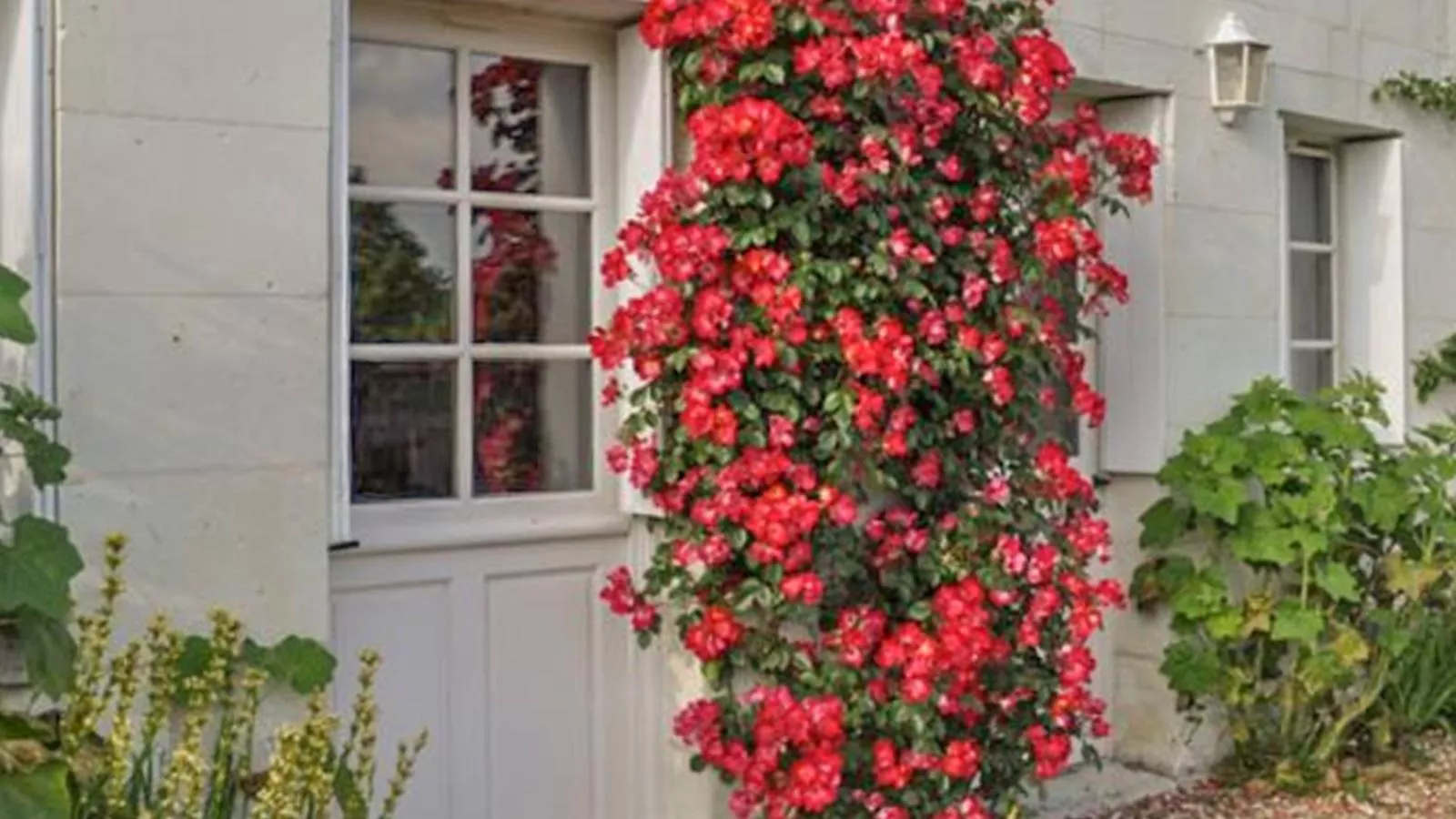 Le Clos-Exterior summer