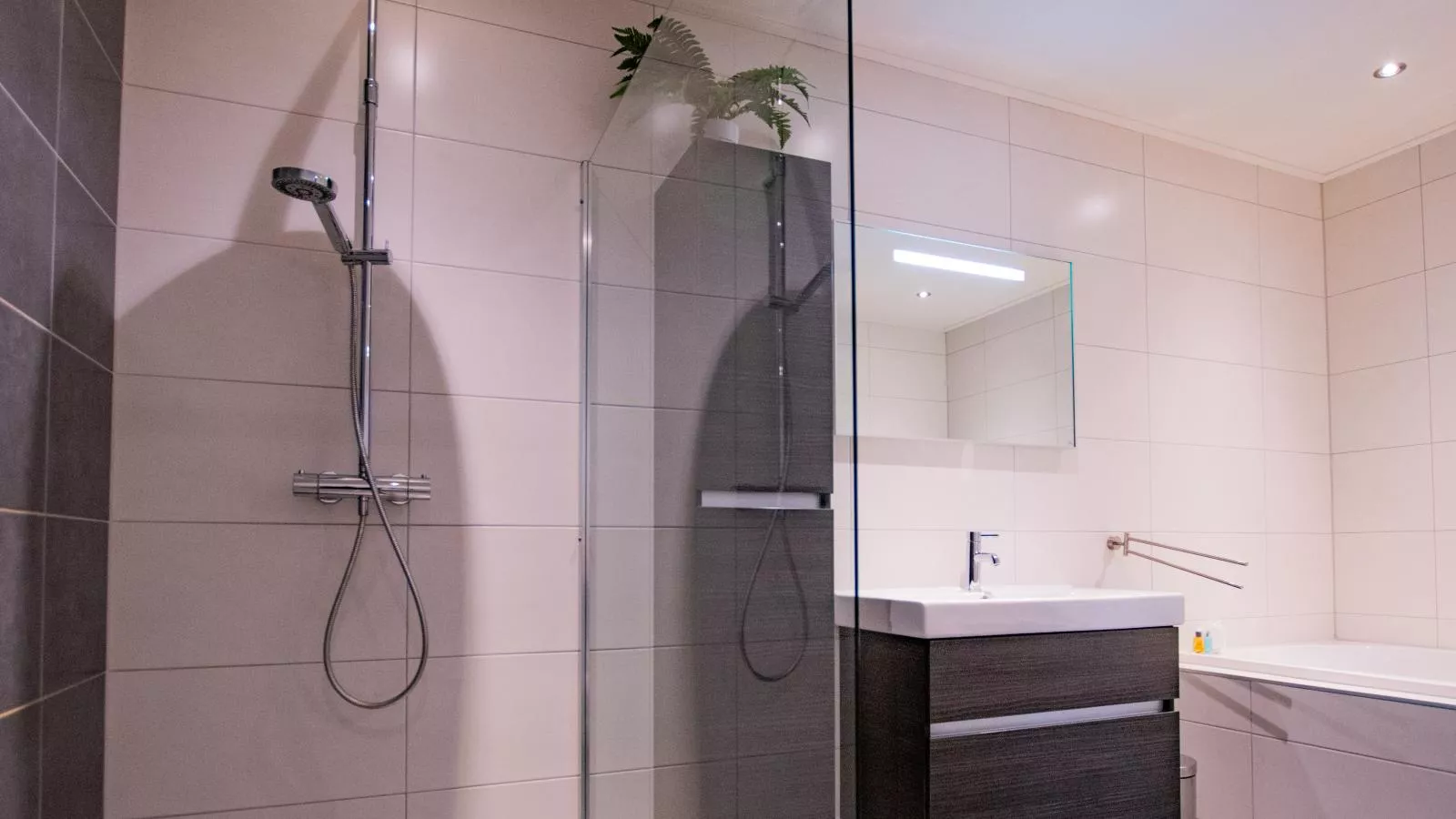 Waddenhuis-Bathroom