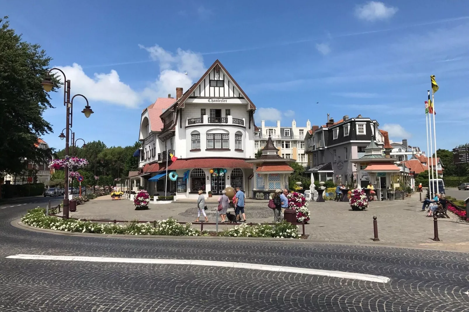 Sandpiper B0-Areas summer 1km