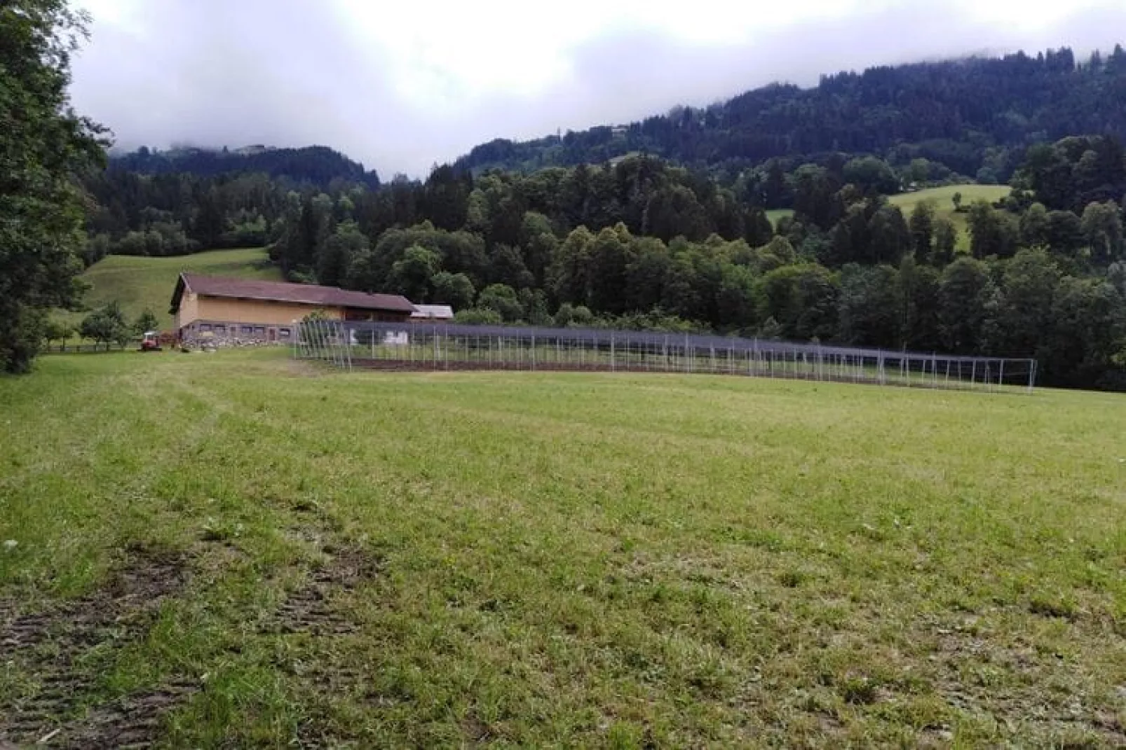 Steinachhof-Gardens summer