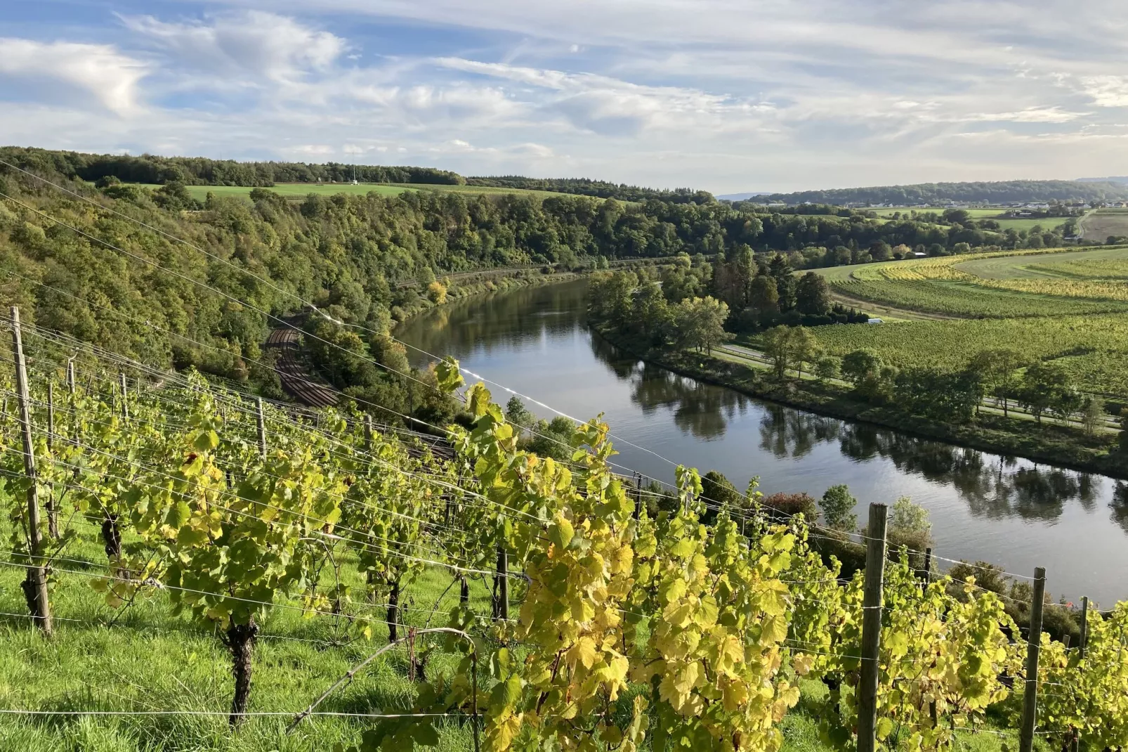 Ferien-Weingut Kirch-Areas summer 1km