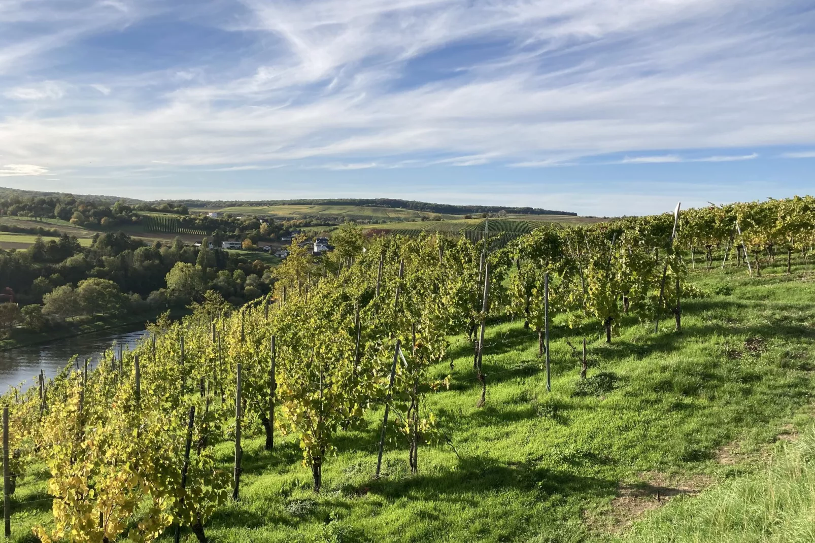 Ferien-Weingut Kirch-Areas summer 1km