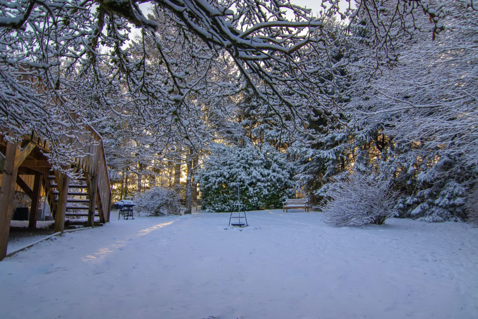 De Eekhoorn-Jardin d'hiver
