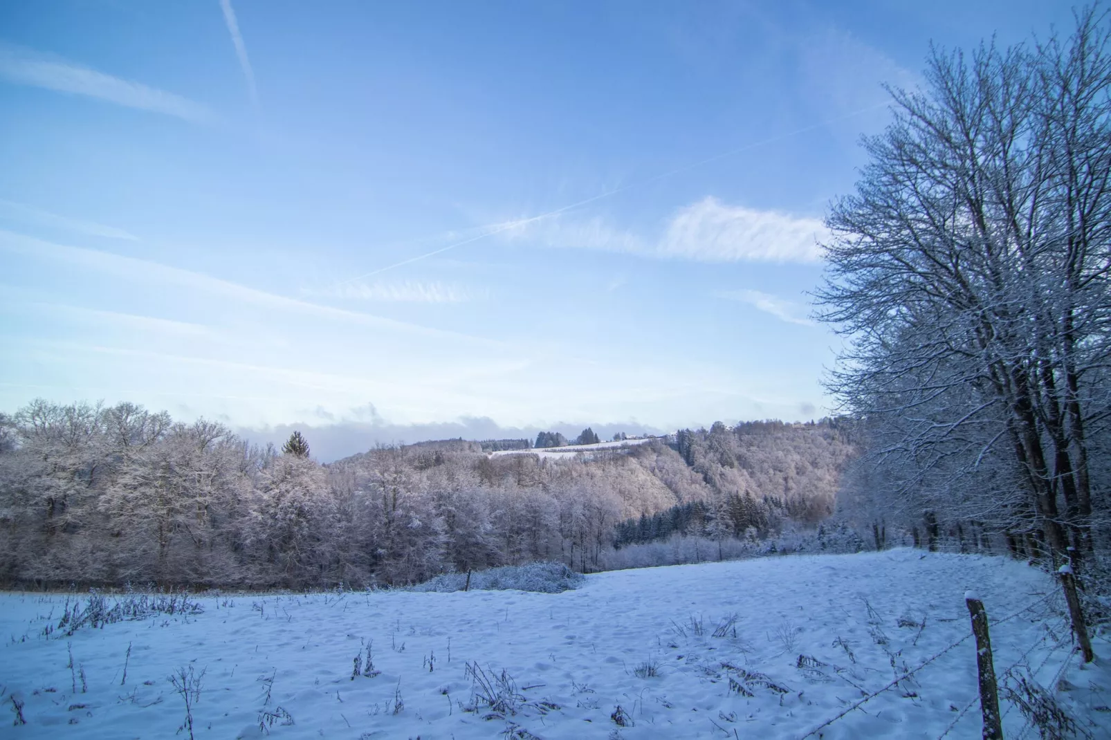 De Eekhoorn-Zone d'hiver à 1 km