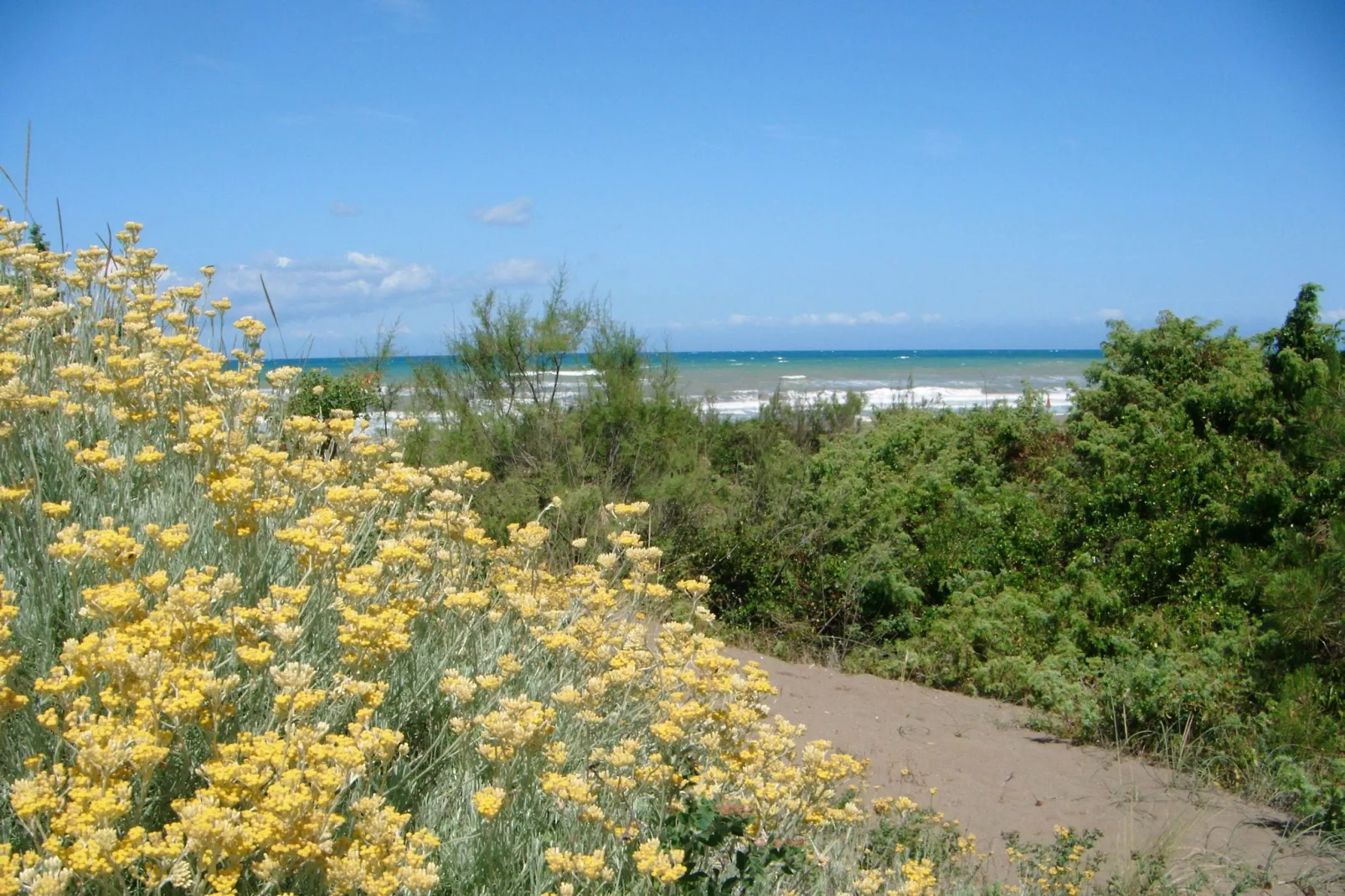 Agrifogli Peonia-Areas summer 20km