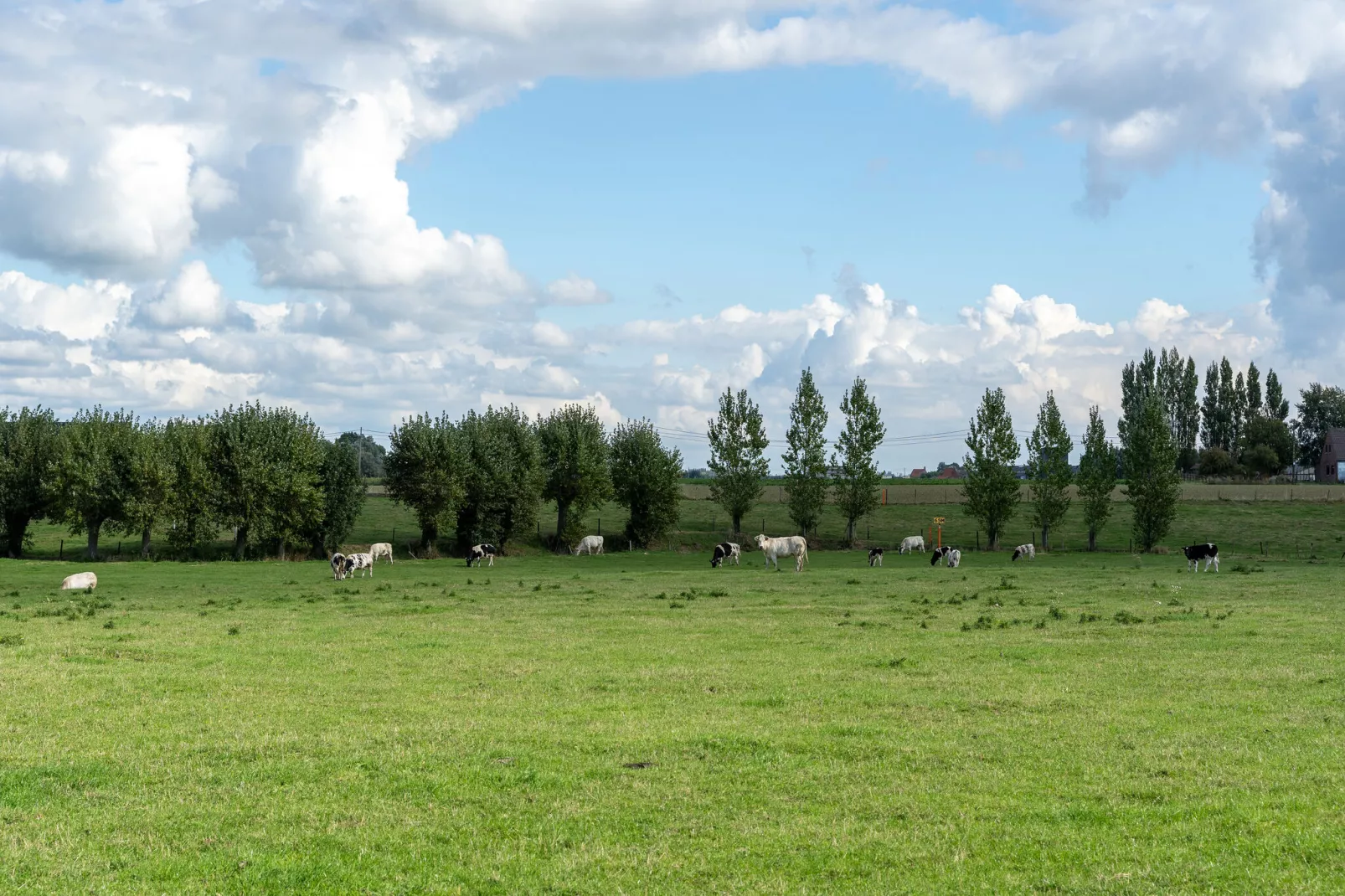 De Korte Lindehoeve-Areas summer 5km
