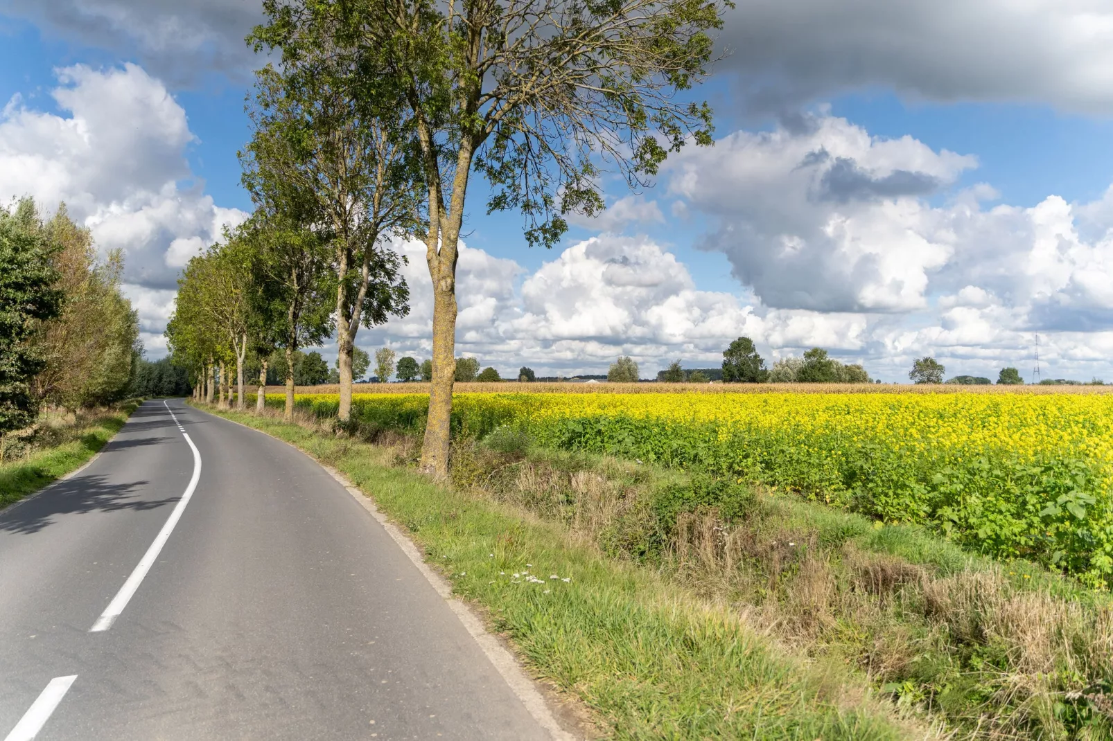 De Korte Lindehoeve-Areas summer 5km