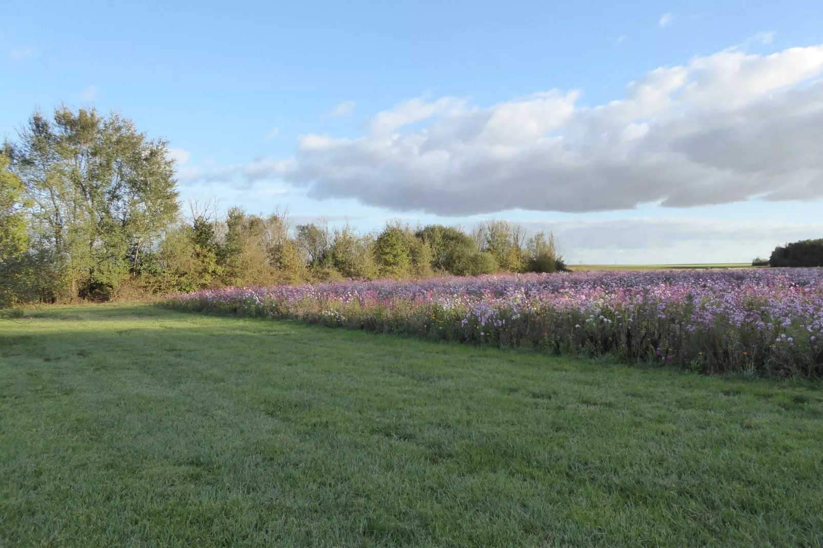 Gite 6 pers près de Châteauroux-Gärten Sommer