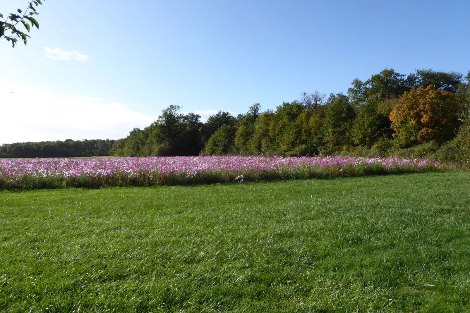 Gite 6 pers près de Châteauroux-Gebiete Sommer 1 km