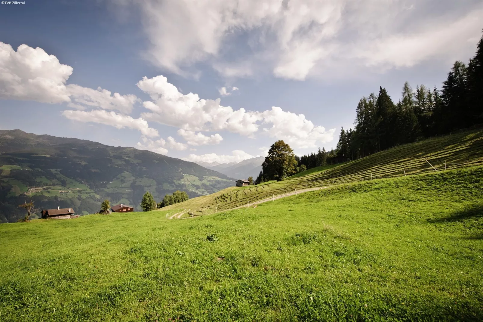 Apart Andrea -  App 1 links-Areas summer 5km