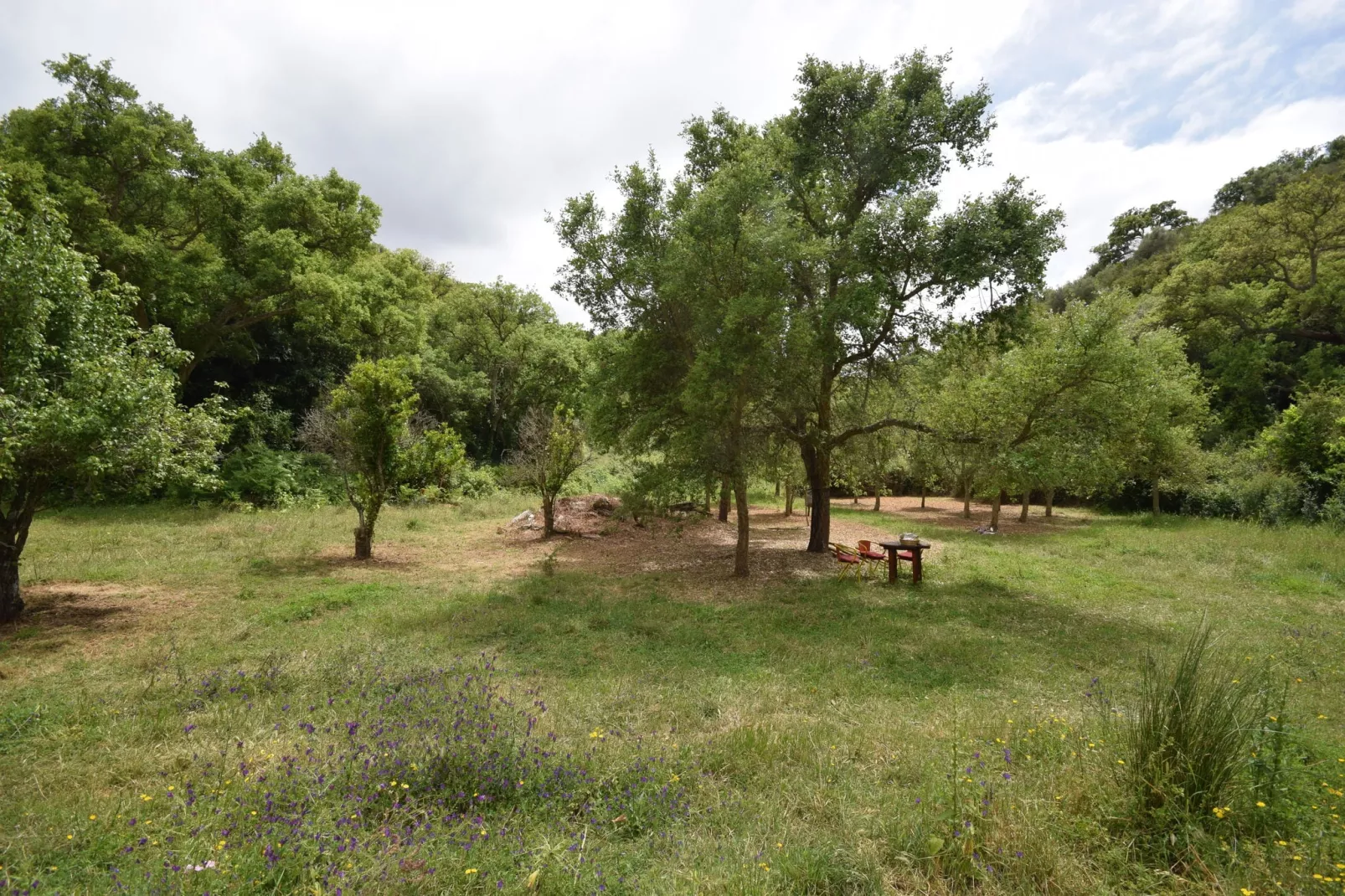 Casa do Tanque-Jardins en été