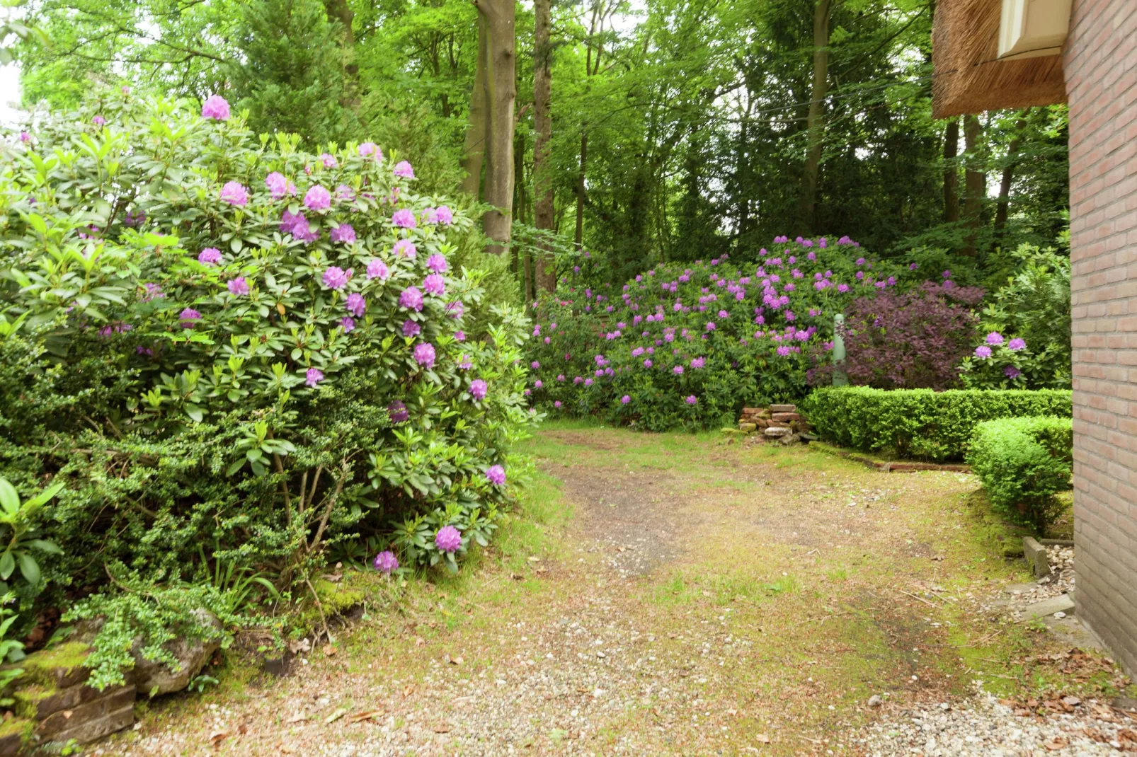 Huisje op de Hei-Gardens summer