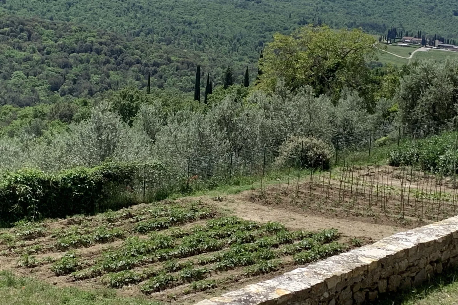 La Casetta-Areas summer 1km