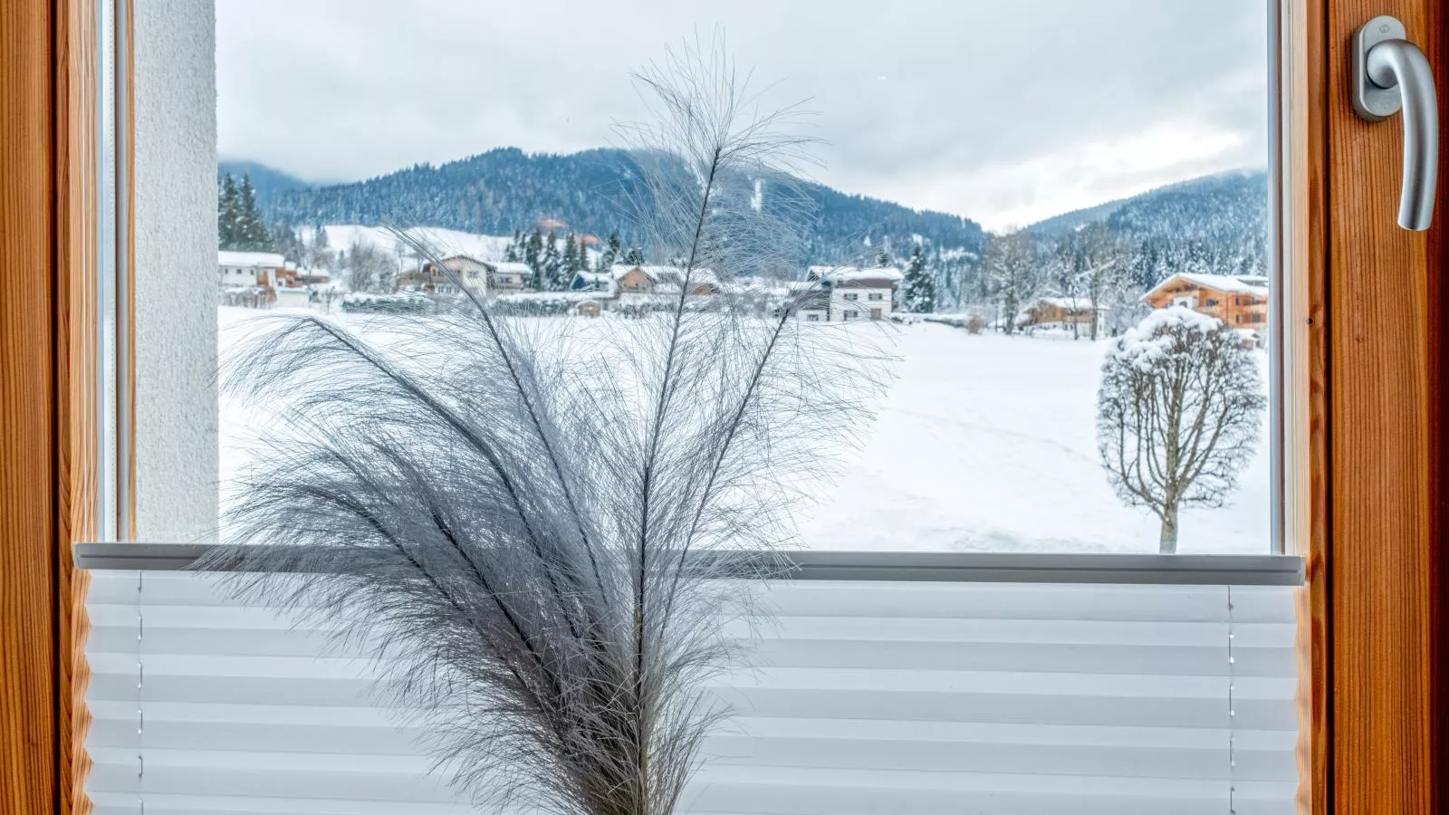 Edelweiss top 7-View winter