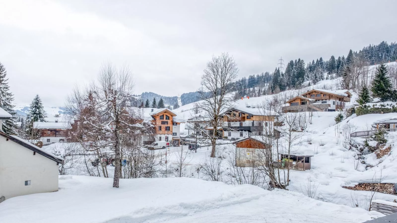 Edelweiss top 7-View winter
