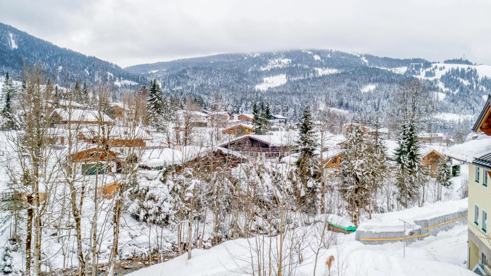 Selbkönig-View winter