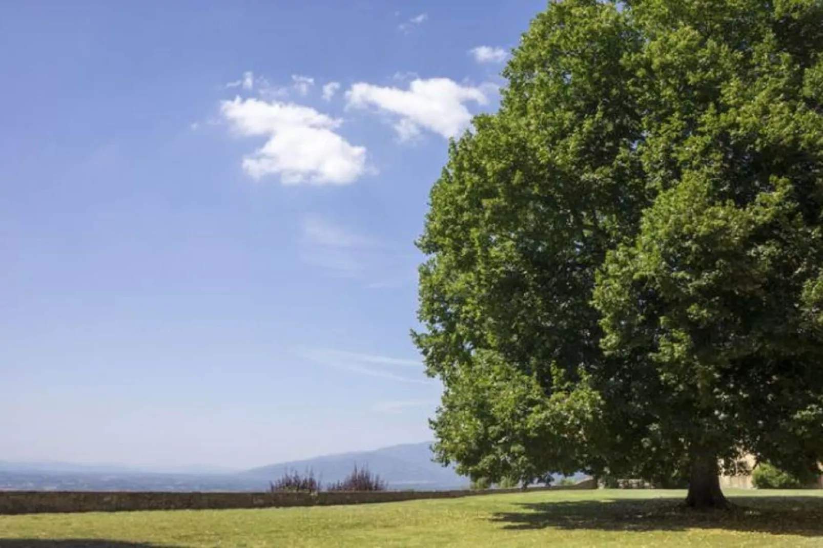 Il Giardino-View summer
