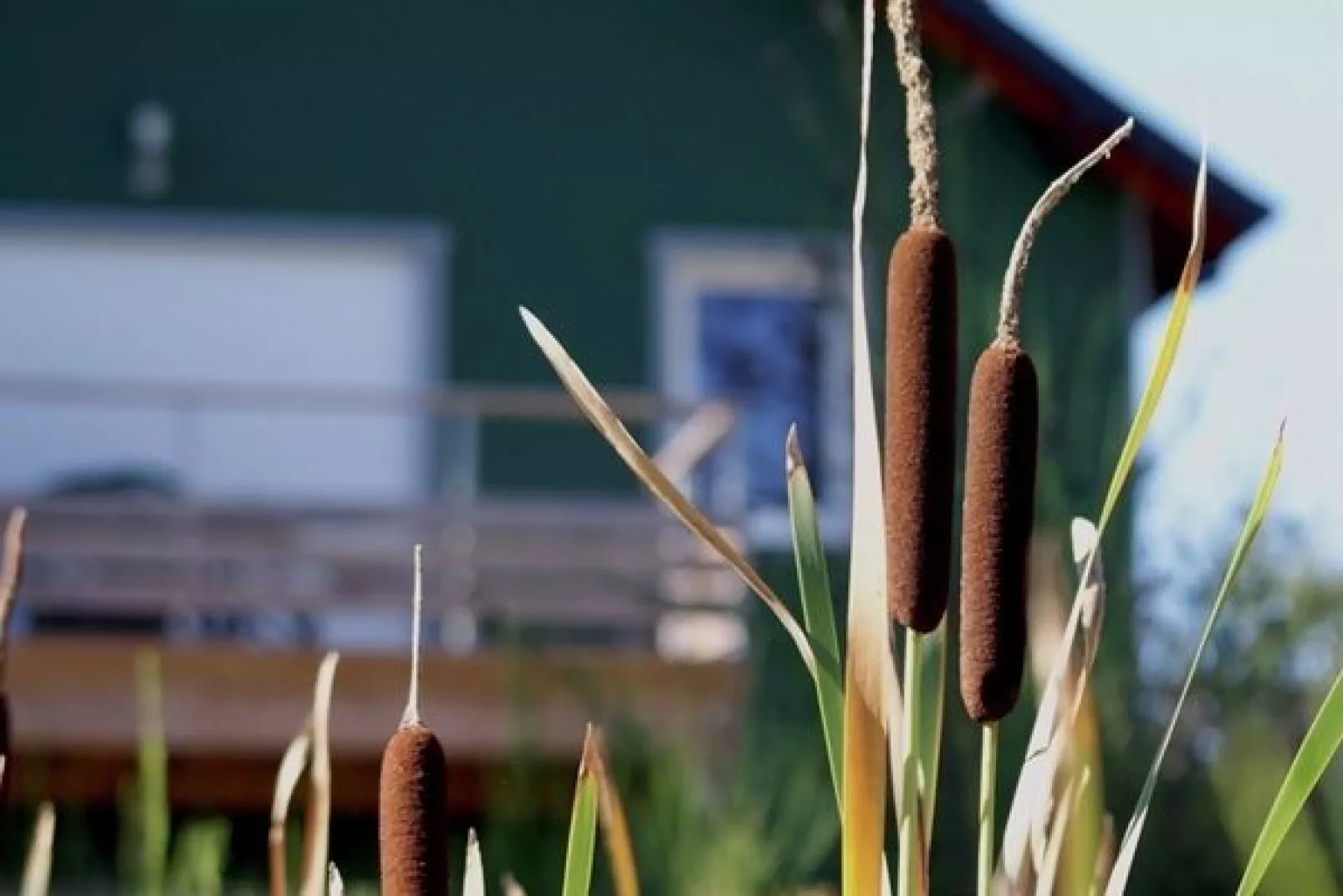 Relais du Plessis 1-Exterior summer