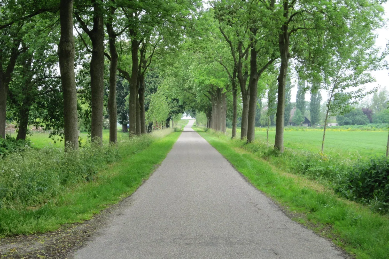 Silence II-Areas summer 1km