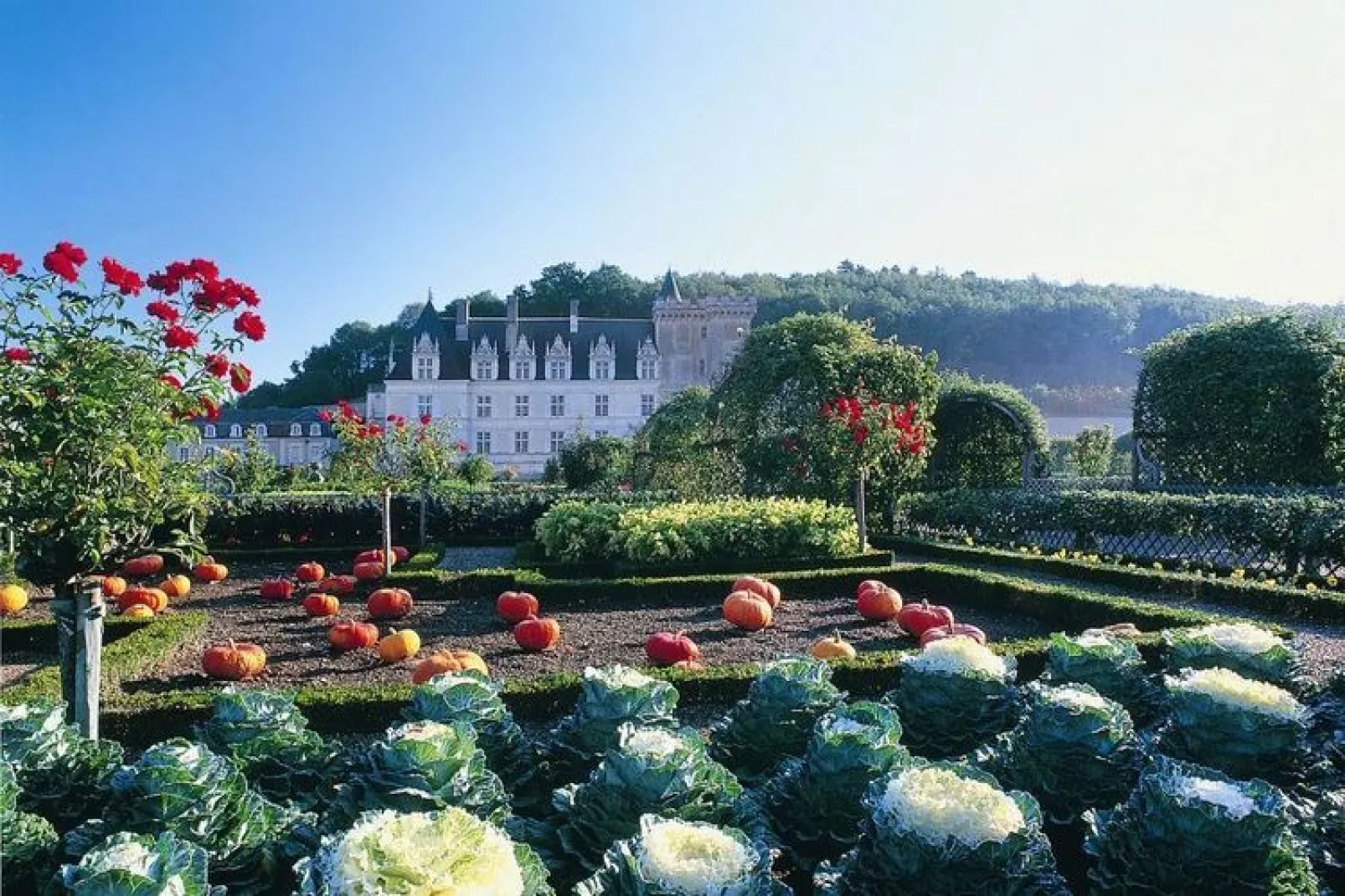 Relais du Plessis 1-Areas summer 20km
