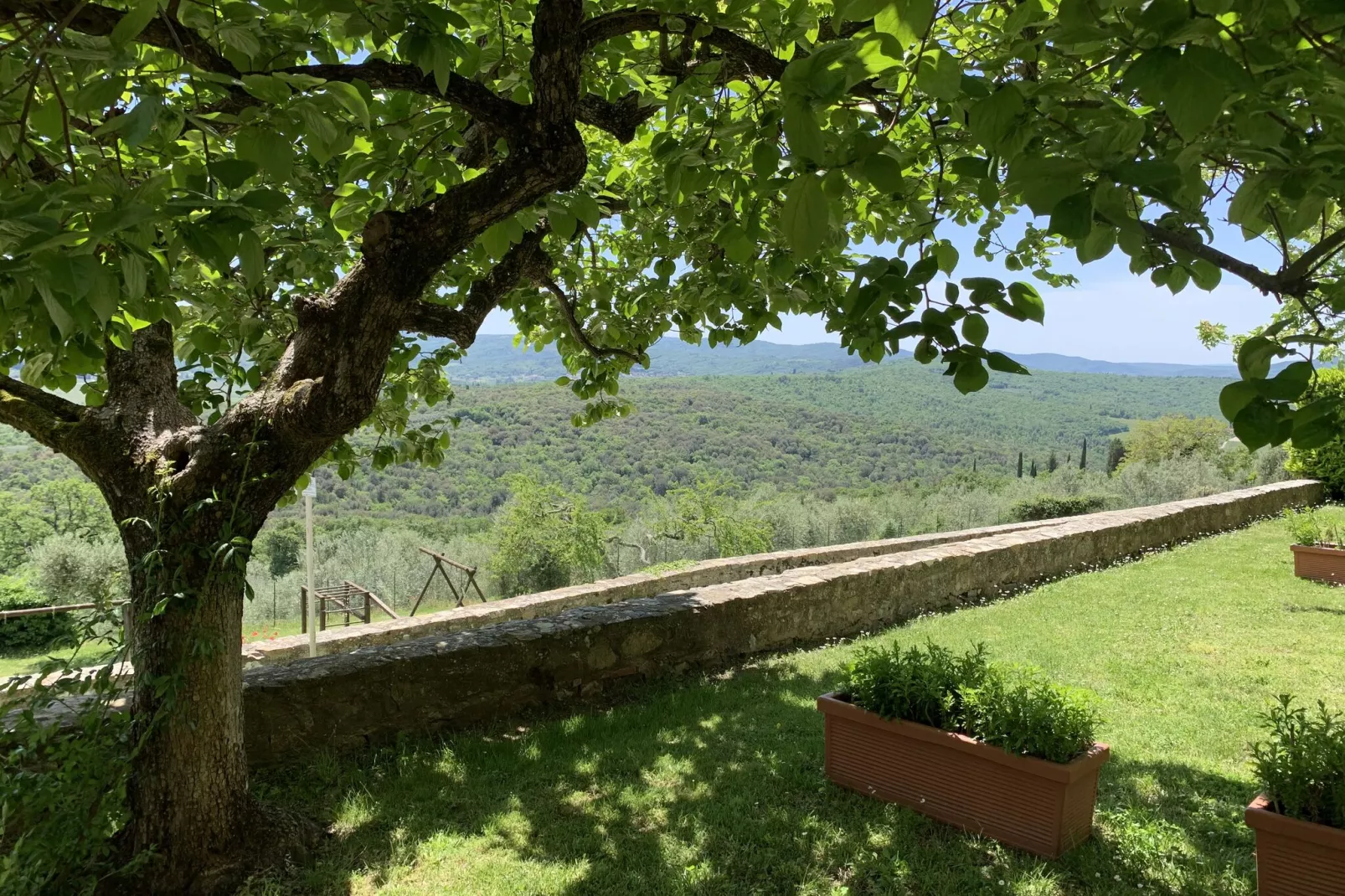 Ginestra-Gardens summer