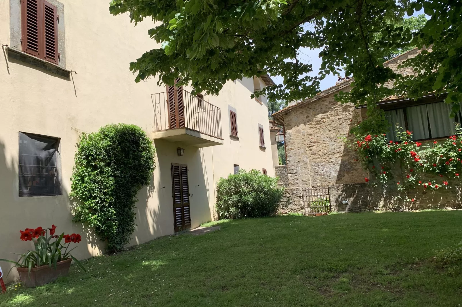 Ginestra-Gardens summer