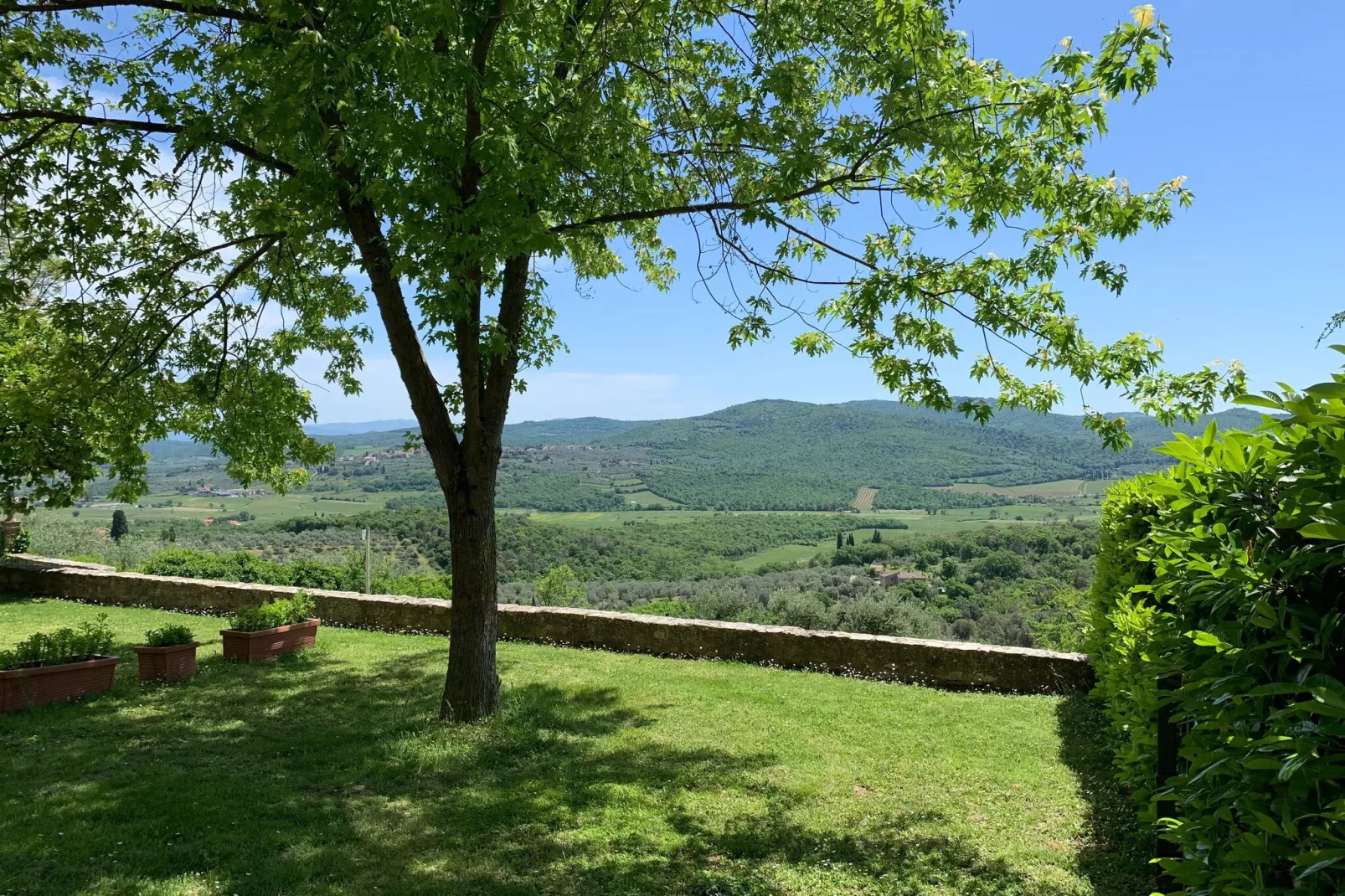 Ginestra-Gardens summer