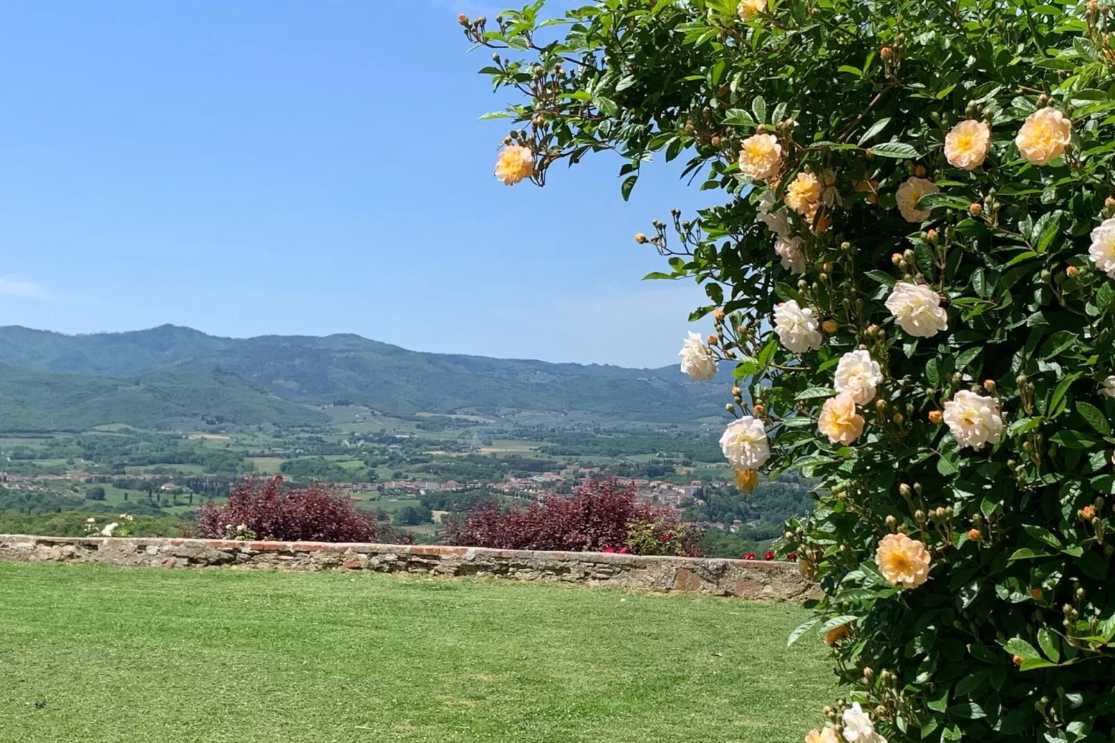 Ginestra-View summer