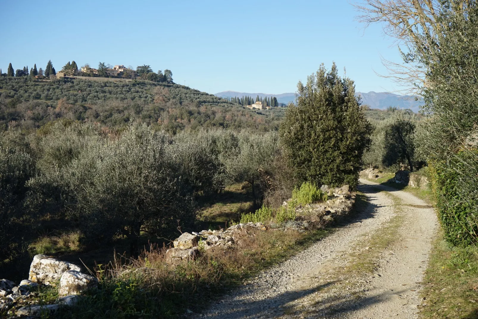 Ginestra-Areas summer 1km