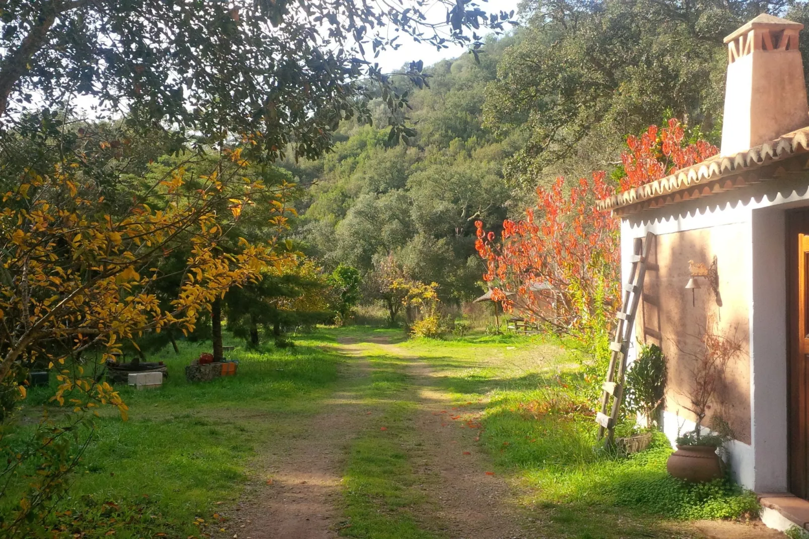 Casa da Adega-Vue d'été
