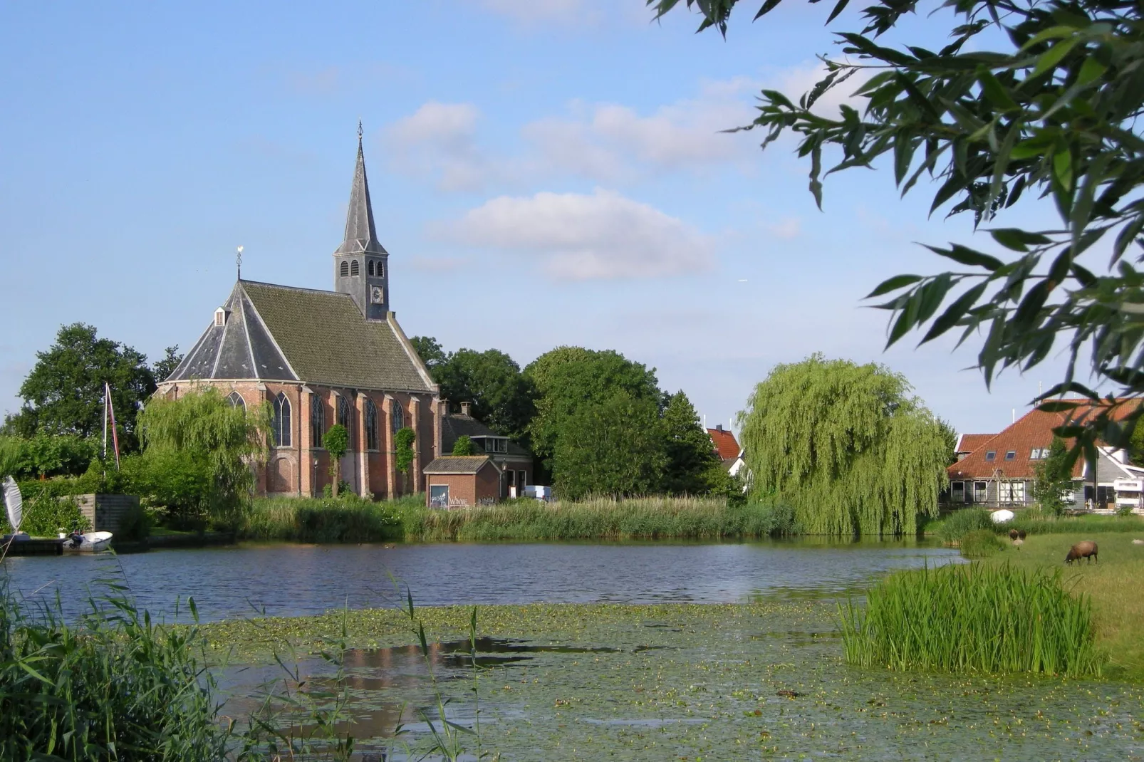 Zonnekroon-Areas summer 1km