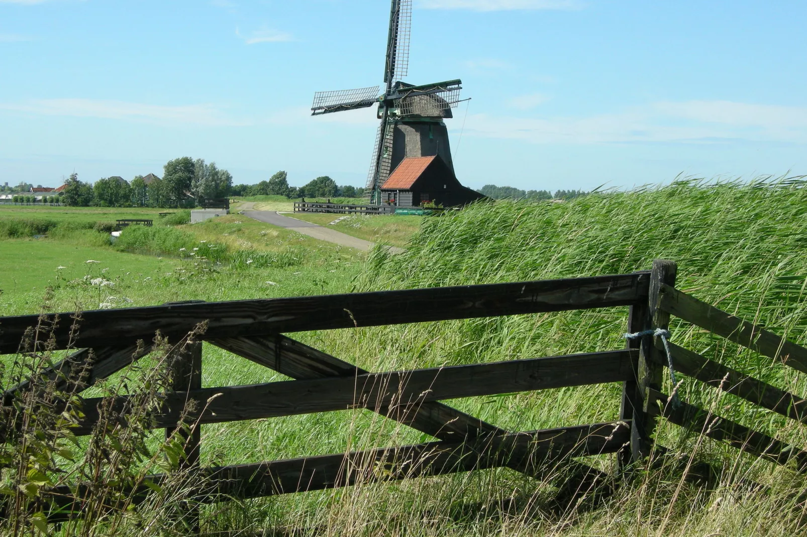 Zonnekroon-Areas summer 5km