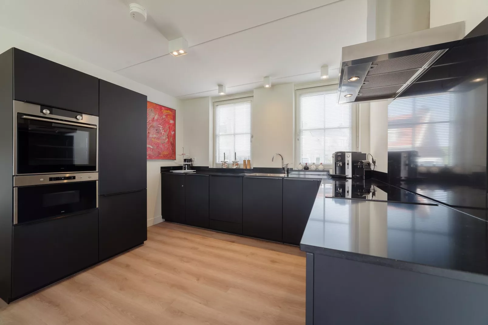 6 persoons vrijstaand met sauna/hond-Kitchen