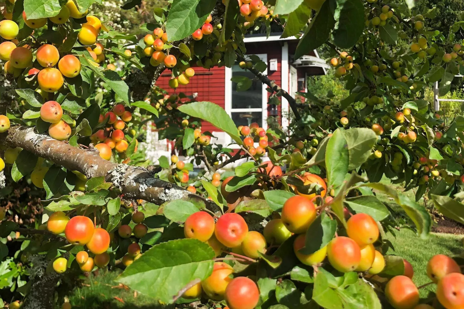7 person holiday home in NÄSSJÖ-Outdoor
